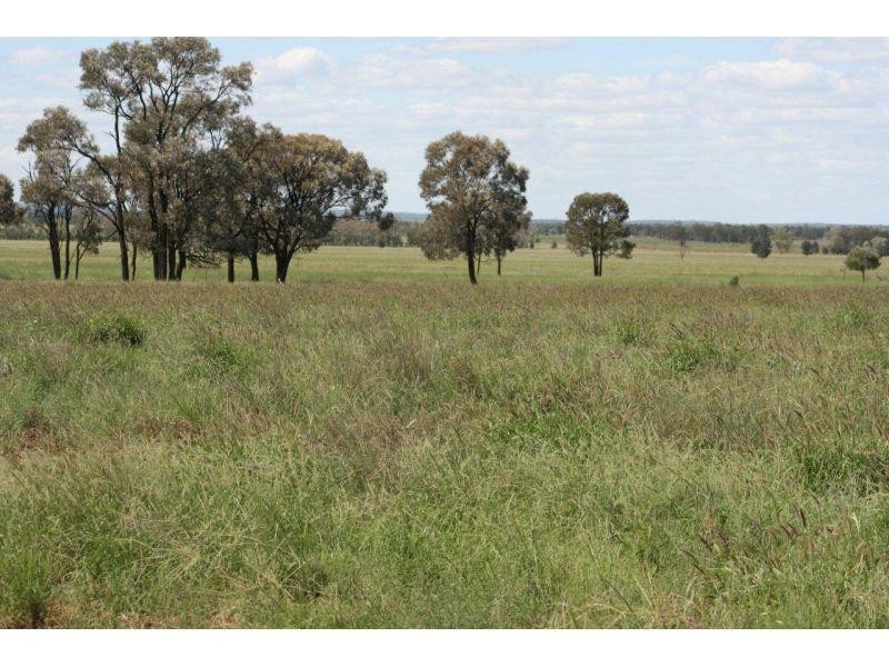 Meandarra QLD 4422