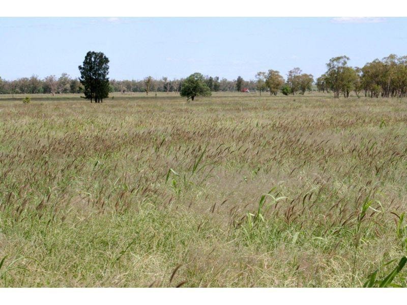 Meandarra QLD 4422