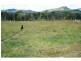 Glastonbury QLD 4570