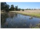 Tansey QLD 4601