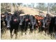 Tansey QLD 4601