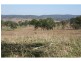 Tansey QLD 4601