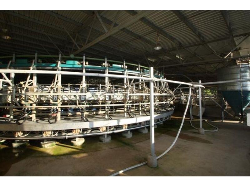 208 Coolabine Road, Kenilworth QLD 4574