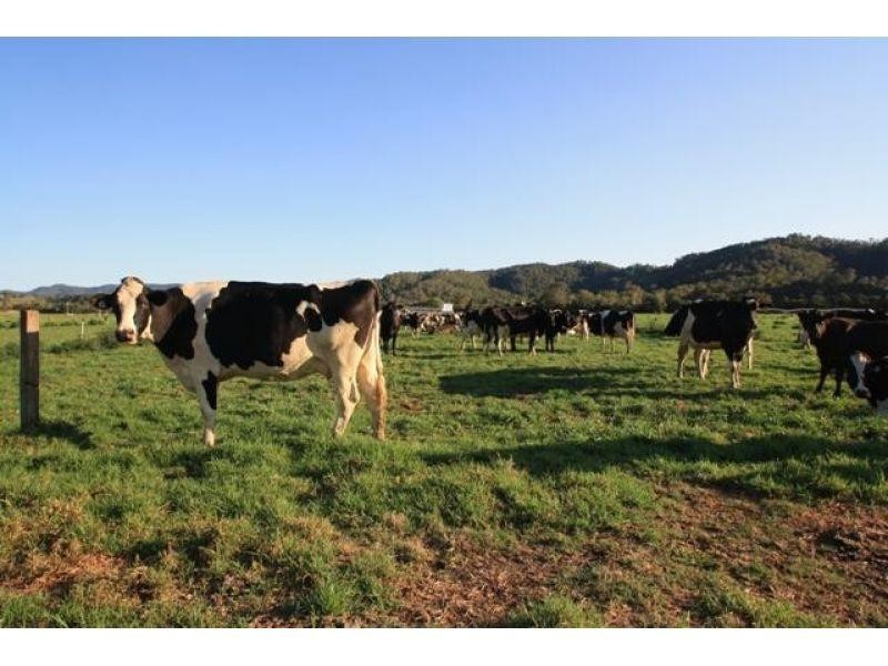 208 Coolabine Road, Kenilworth QLD 4574