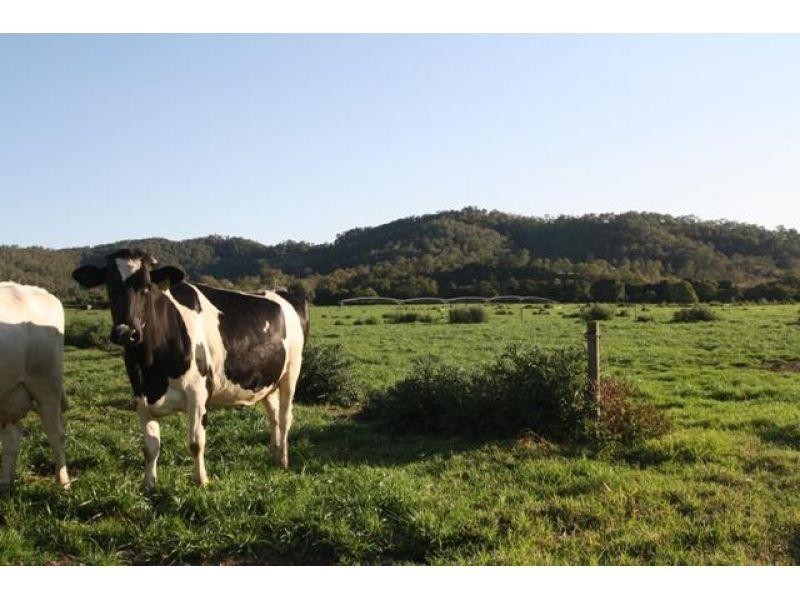 208 Coolabine Road, Kenilworth QLD 4574