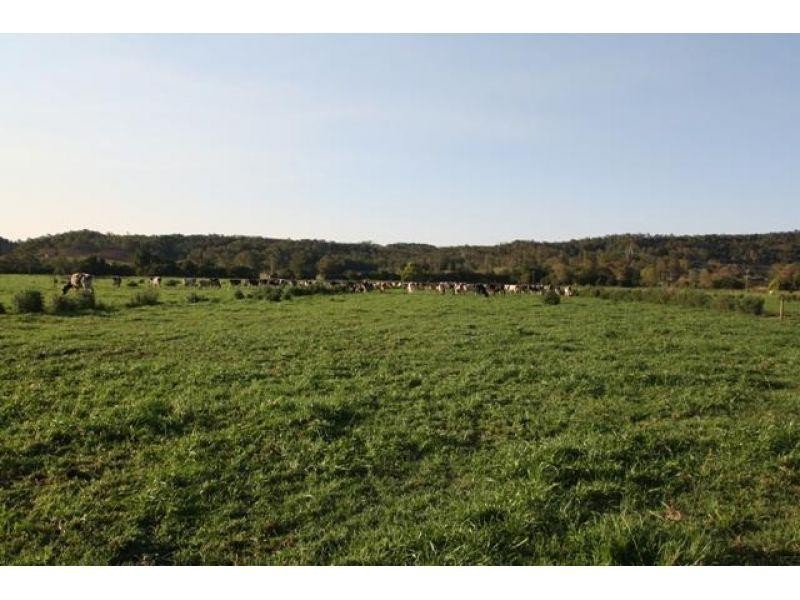 208 Coolabine Road, Kenilworth QLD 4574