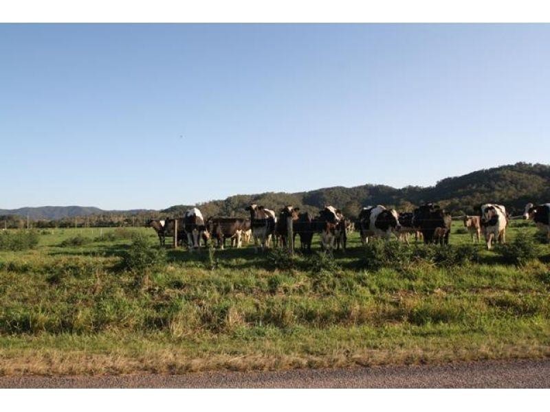 208 Coolabine Road, Kenilworth QLD 4574