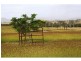 Cinnabar QLD 4600
