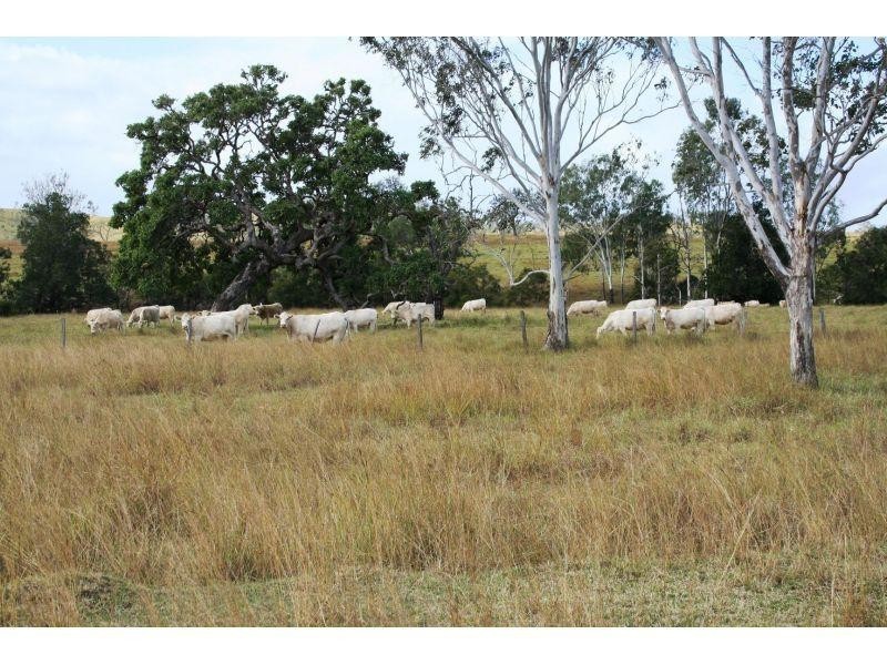 Cinnabar QLD 4600