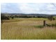 Cinnabar QLD 4600