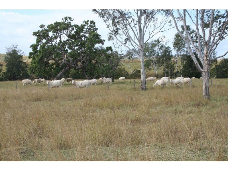 Cinnabar QLD 4600
