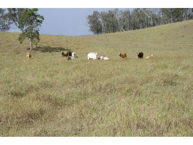 Cinnabar QLD 4600