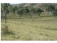 Cinnabar QLD 4600