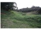 Lot63 Calico Creek Road, Calico Creek QLD 4570