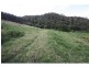 Lot63 Calico Creek Road, Calico Creek QLD 4570