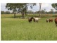 Eidsvold QLD 4627