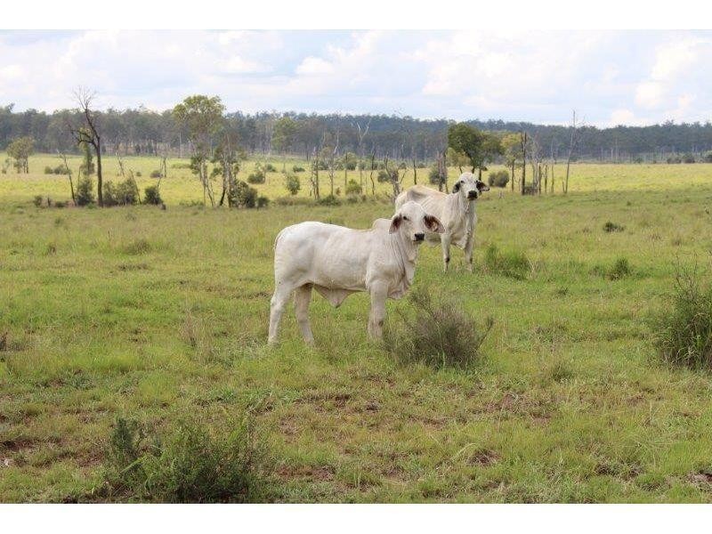 Eidsvold QLD 4627