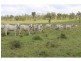 Eidsvold QLD 4627