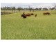 Eidsvold QLD 4627