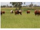 Eidsvold QLD 4627