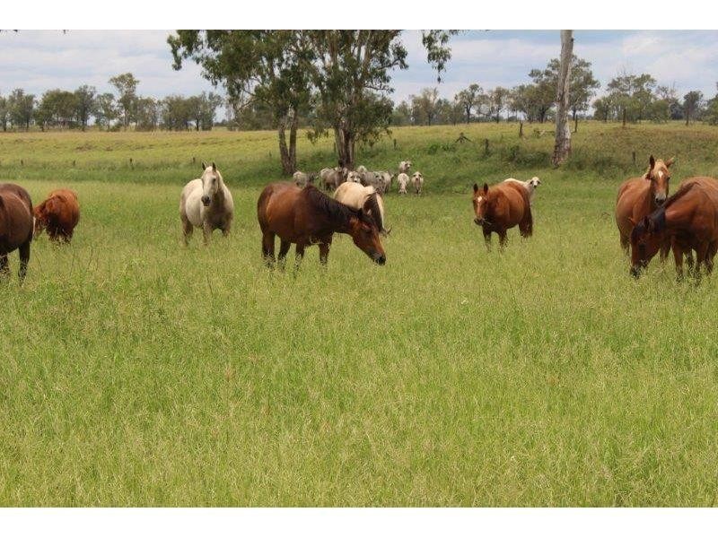 Eidsvold QLD 4627