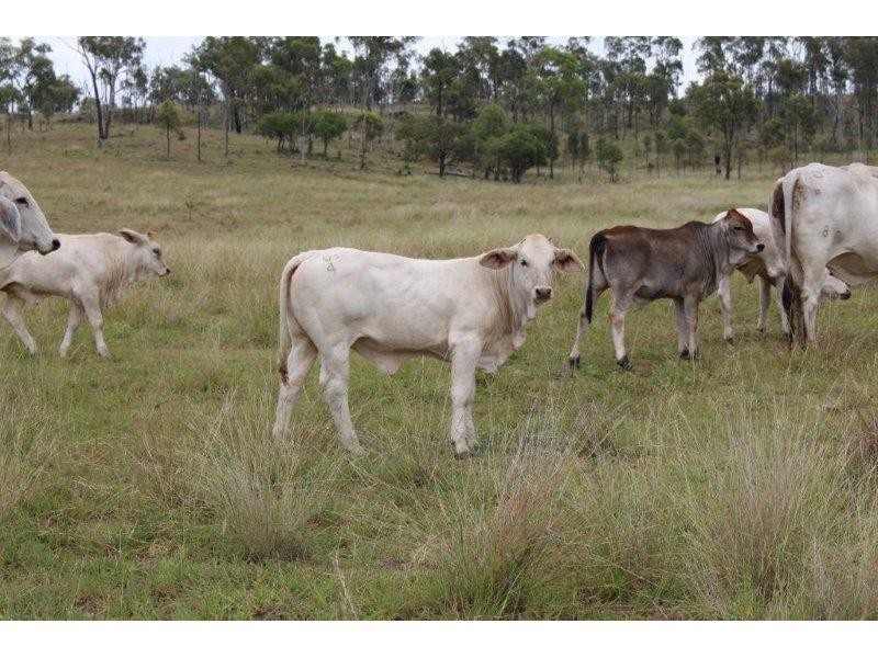 Eidsvold QLD 4627