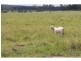 Eidsvold QLD 4627