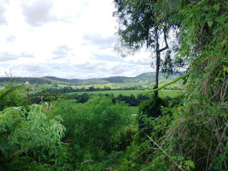 1670 Obi Obi Road, Kenilworth QLD 4574