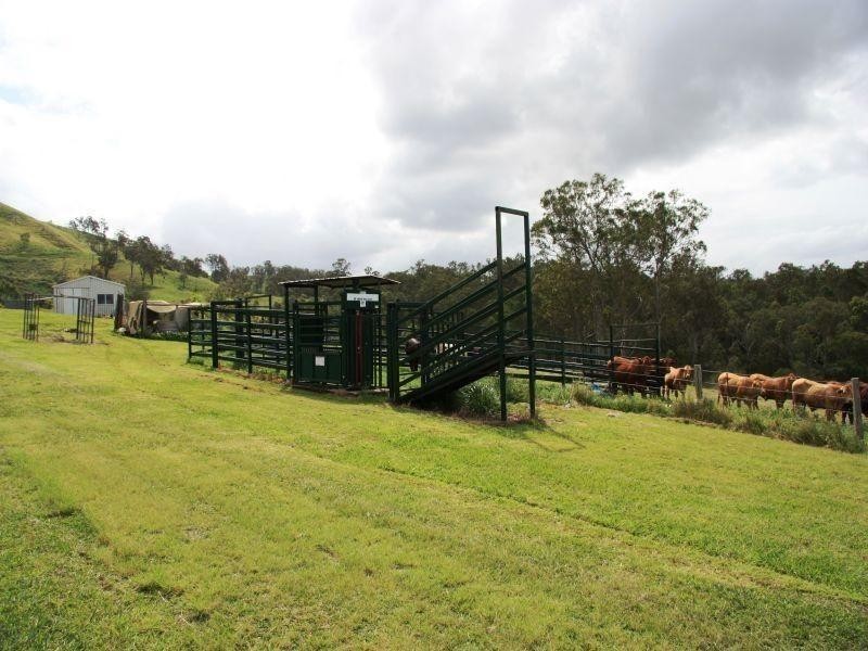 140 Gumnut Drive, Langshaw QLD 4570