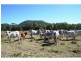 Wonbah Forest QLD 4671