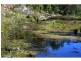 Wonbah Forest QLD 4671