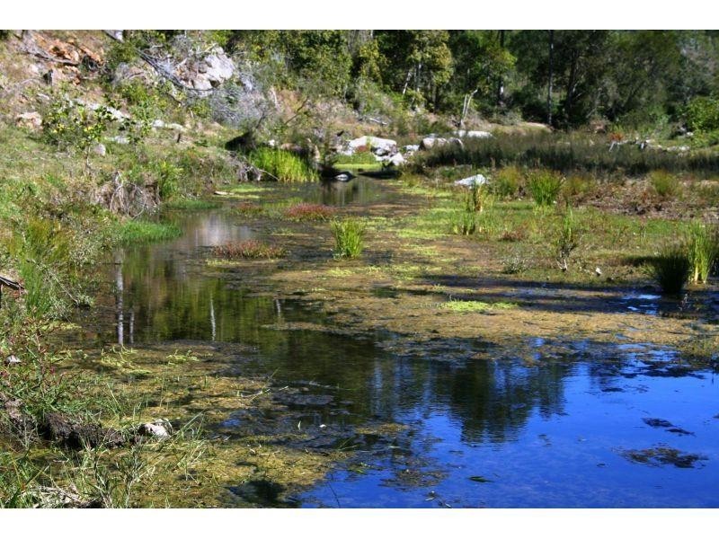 Wonbah Forest QLD 4671