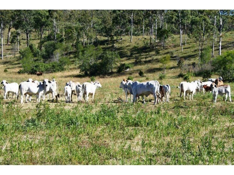 Wonbah Forest QLD 4671
