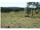 Wonbah Forest QLD 4671