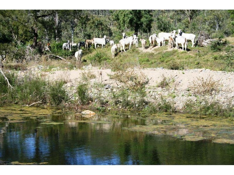 Wonbah Forest QLD 4671