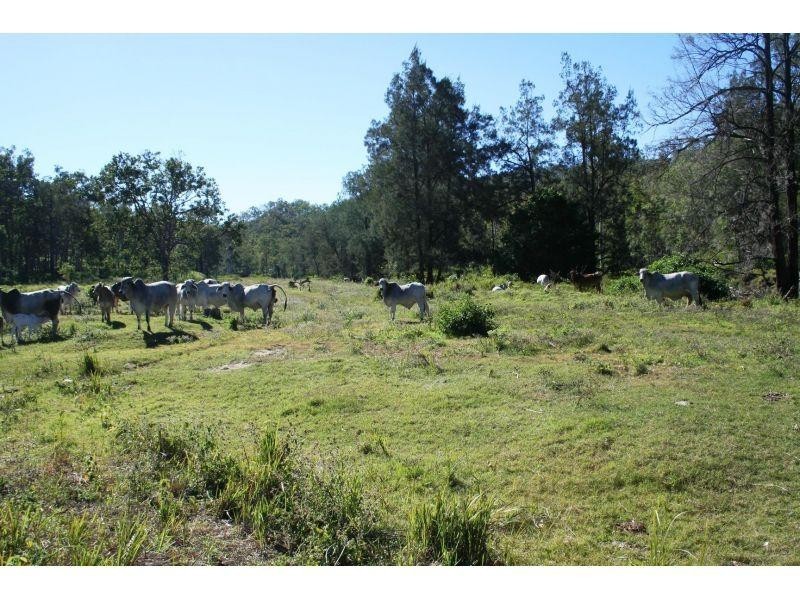 Wonbah Forest QLD 4671