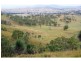 Cinnabar QLD 4600