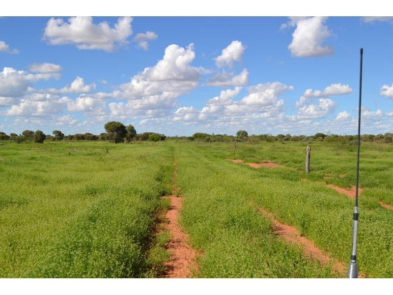 Winton QLD 4735