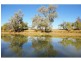 Winton QLD 4735