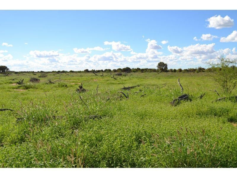 Winton QLD 4735