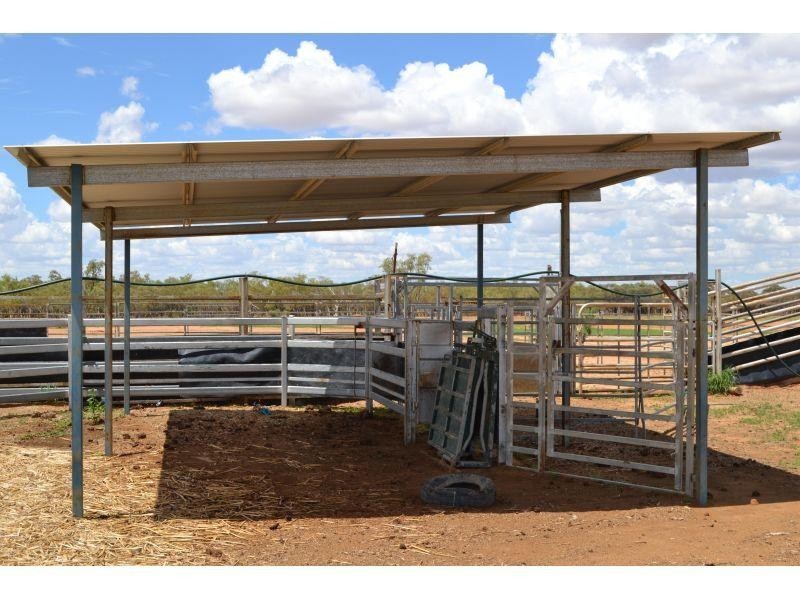 Winton QLD 4735