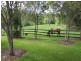 181 Kiaka Road, Lagoon Pocket QLD 4570