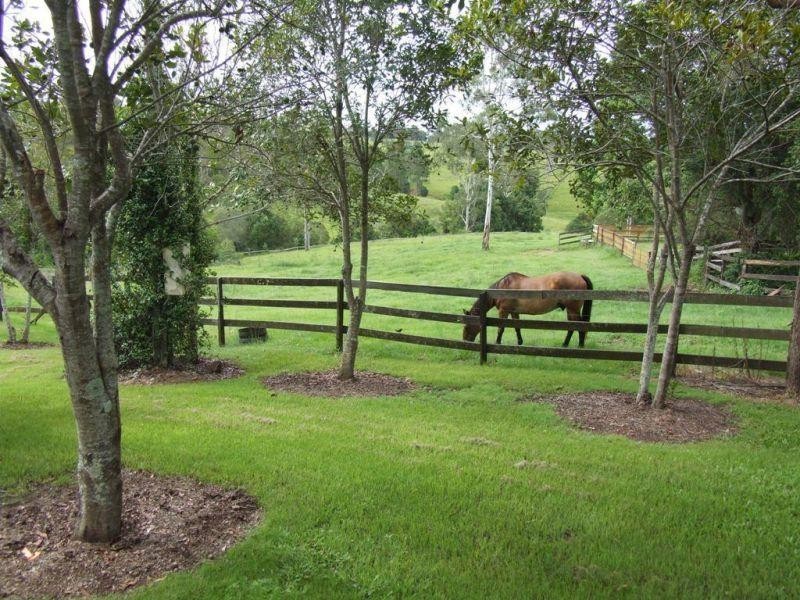 181 Kiaka Road, Lagoon Pocket QLD 4570
