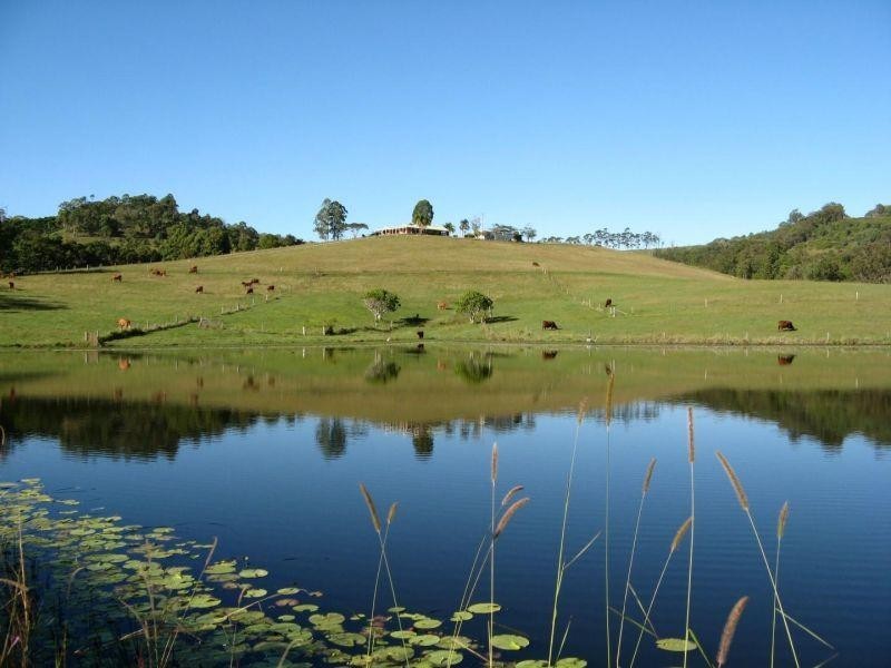 175 Diamondfield Road, Amamoor QLD 4570