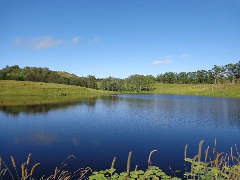 175 Diamondfield Road, Amamoor QLD 4570