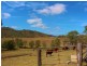 911 Wide Bay Highway, Lower Wonga QLD 4570