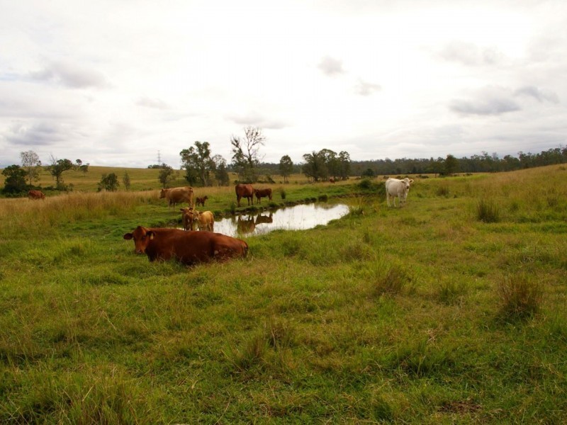 911 Wide Bay Highway, Lower Wonga QLD 4570