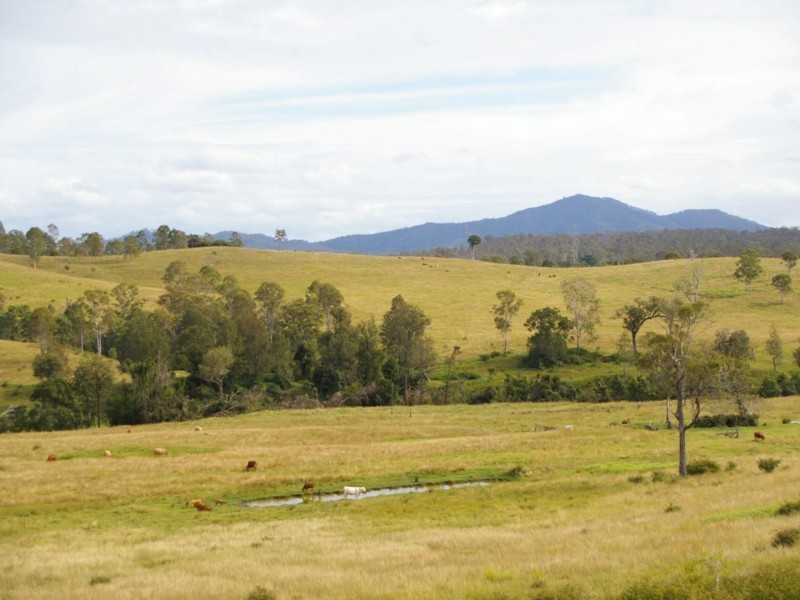911 Wide Bay Highway, Lower Wonga QLD 4570