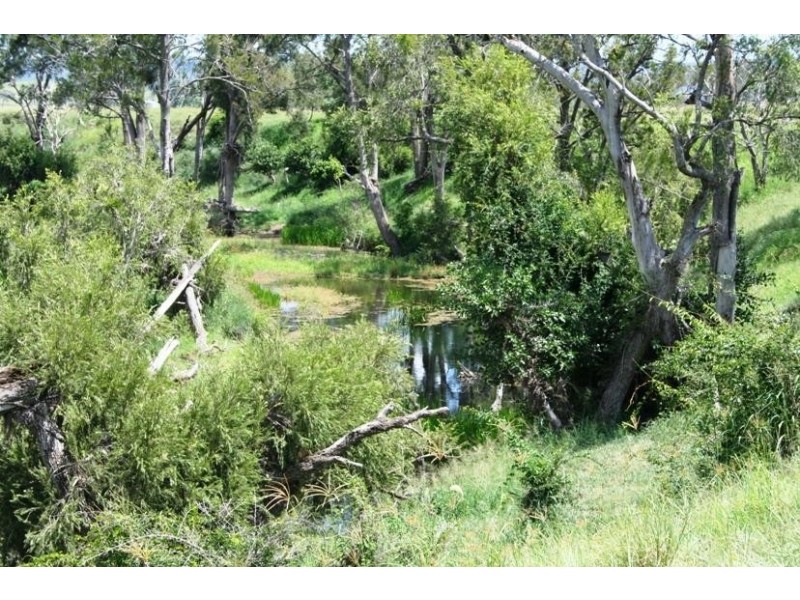 Cinnabar QLD 4600