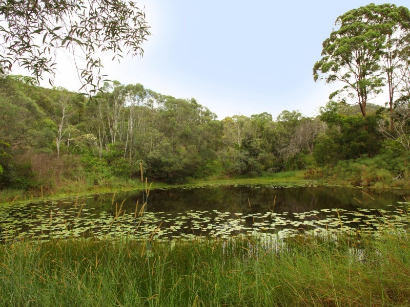 814 Cedar Pocket Road, Cedar Pocket QLD 4570